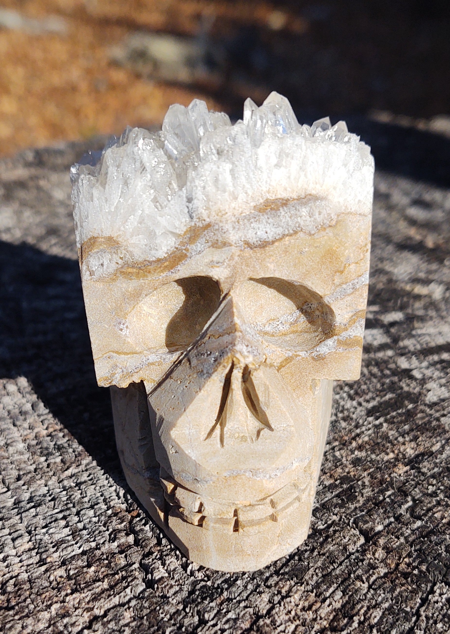 Quartz Cluster Skull – Kryptic Kuties LLC