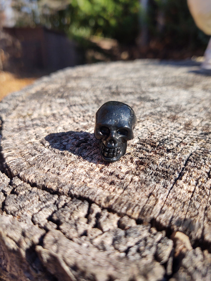 Shungite skull